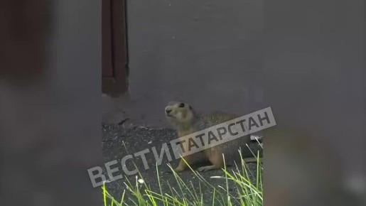 #.             ,       , ,   