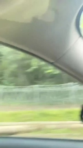 :    .  , , 
