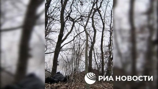  :      FPV-    