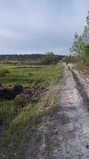  :         ..    