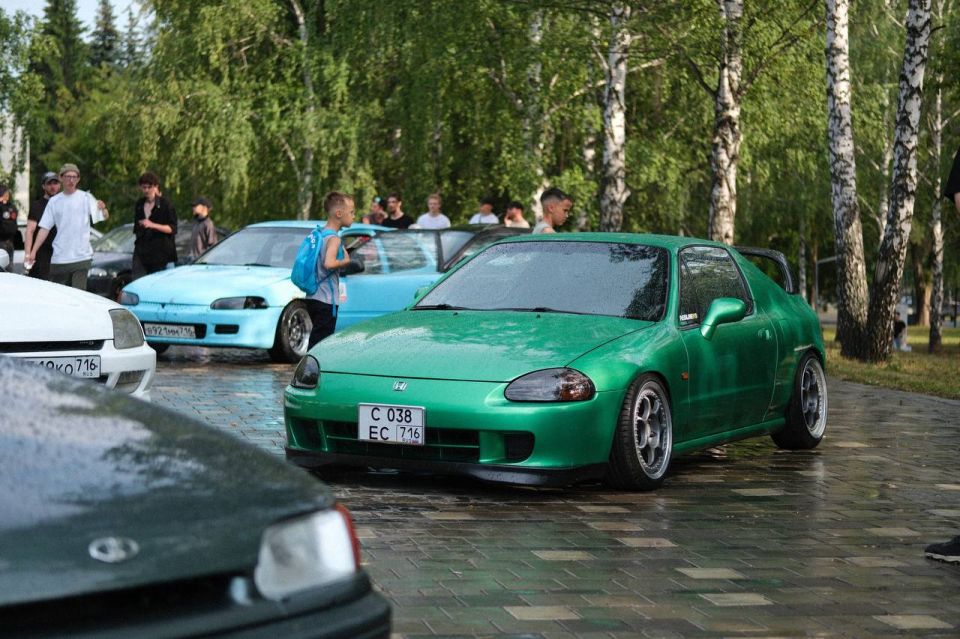     Street Culture Fest      !