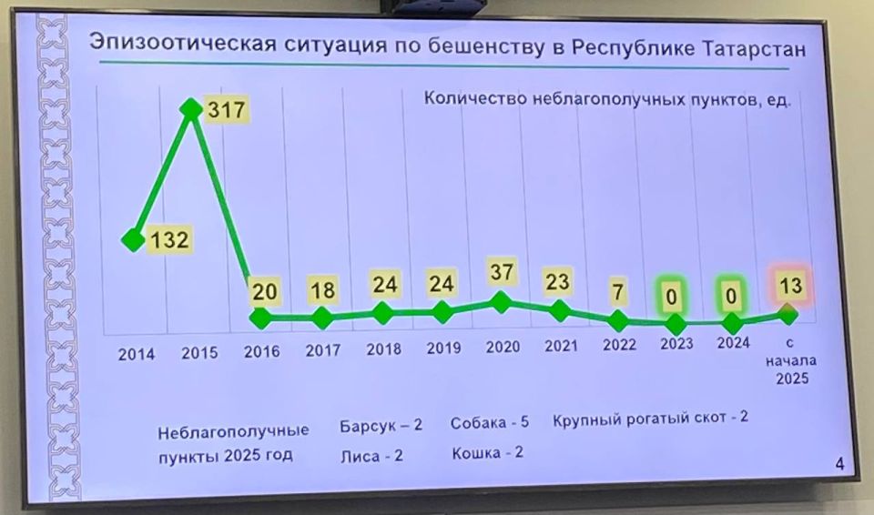    2023   34    