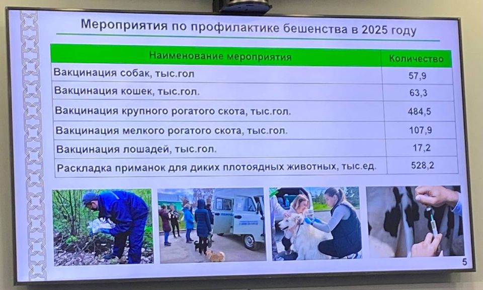    2023   34    