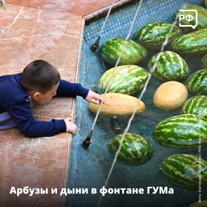    100-,        ,     -     .  2030