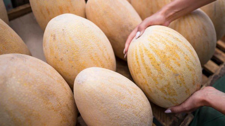 Татарстанцам рассказали, кому нельзя есть дыню