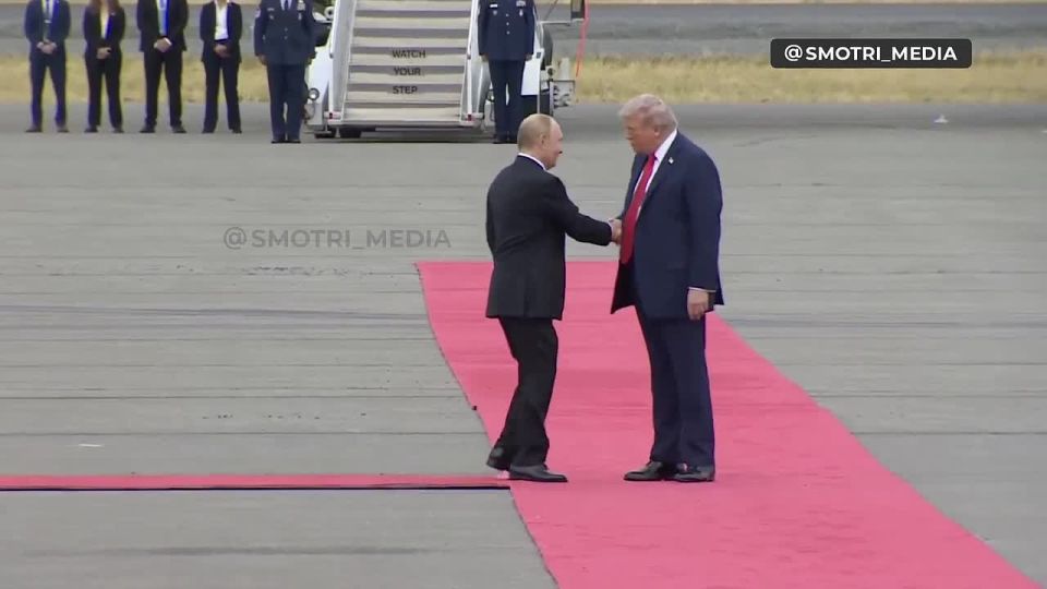     ,         