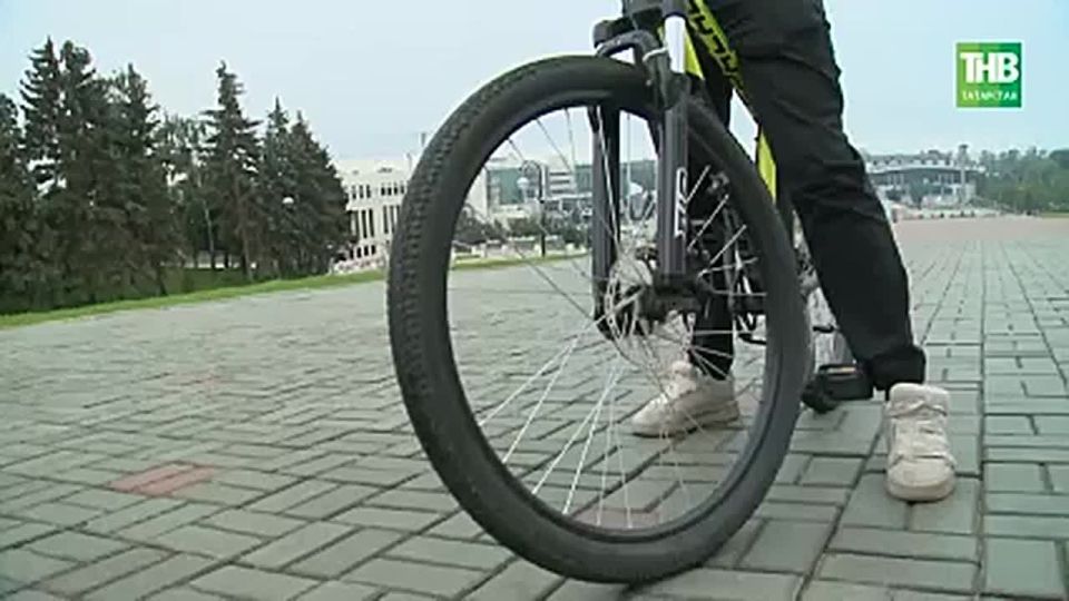      10 :         