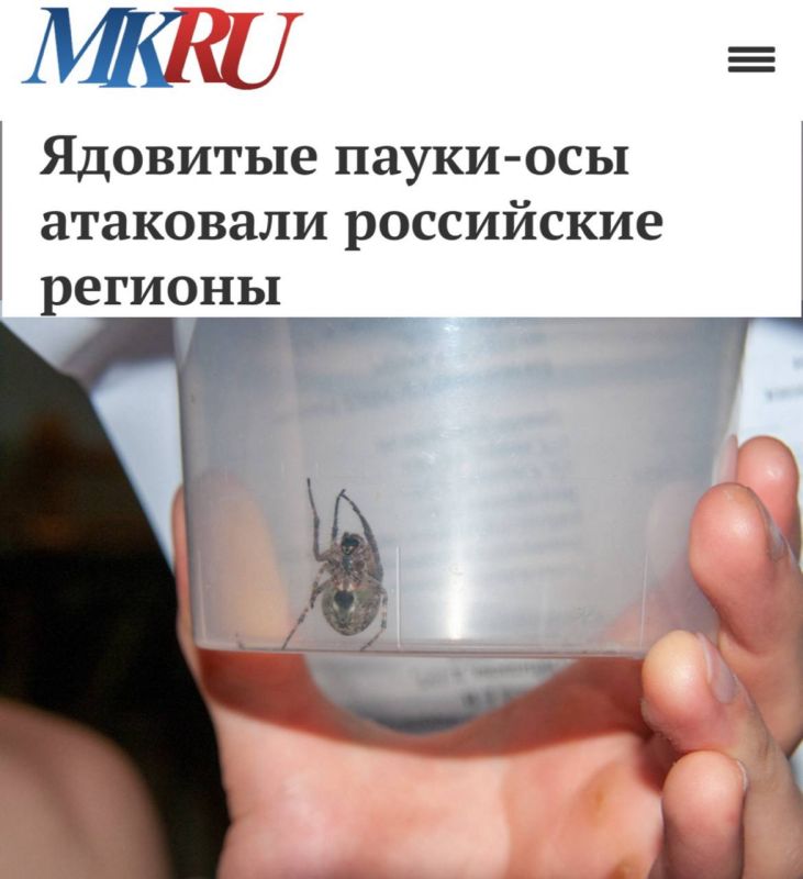  -   : ,      ,    
