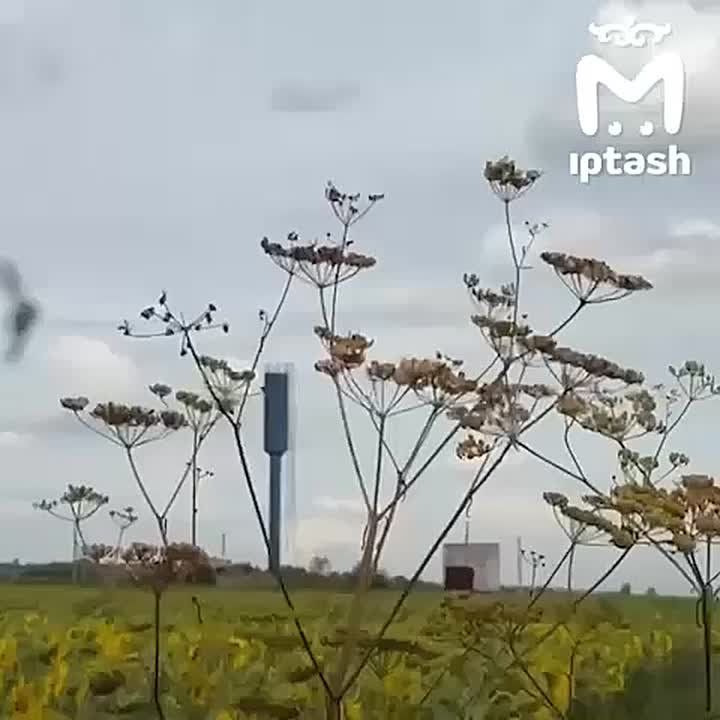 Ƹ   10          - 