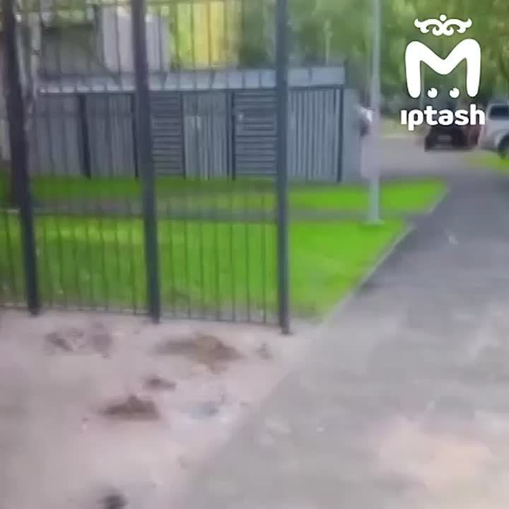 &quot; &quot;.        .    :       