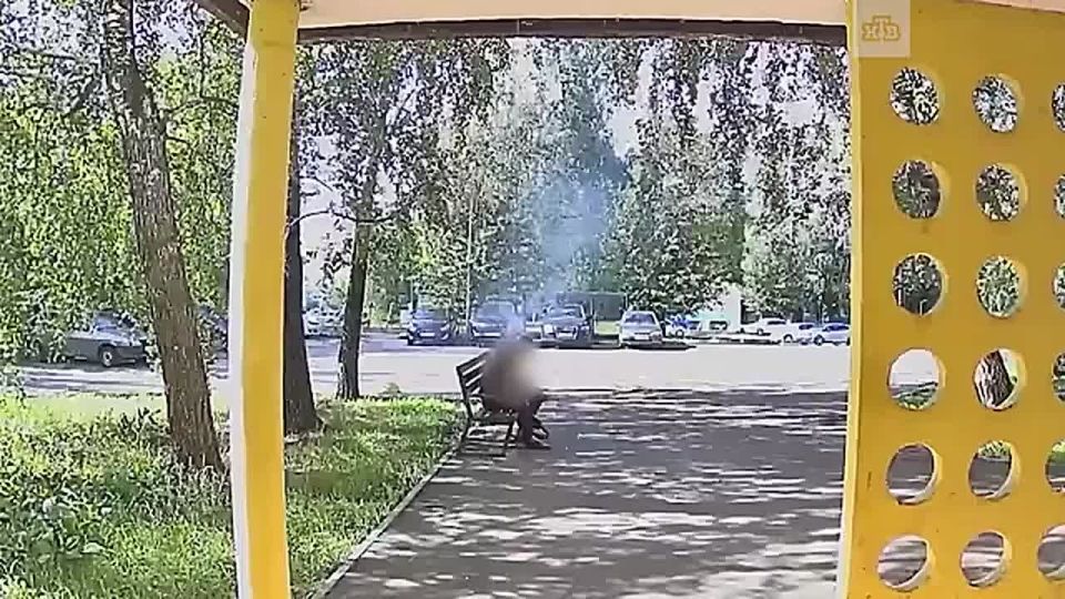        ,          ,    