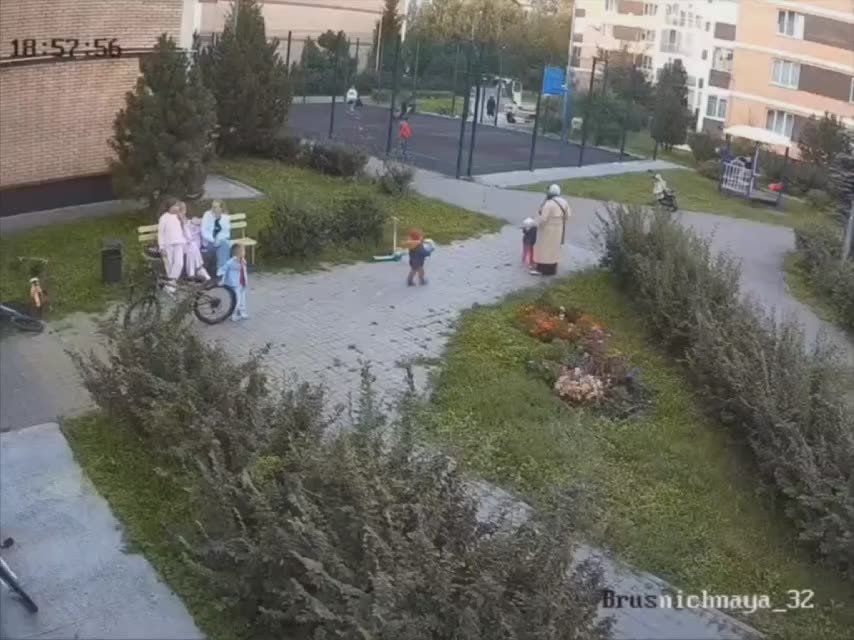  :  ,       , ,   