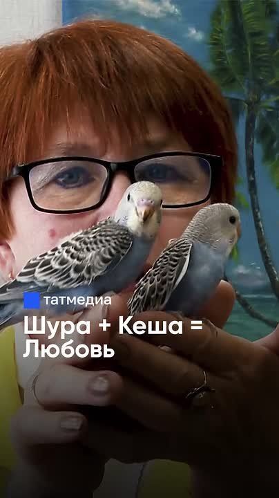      :      