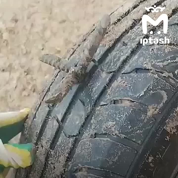    ,        -   