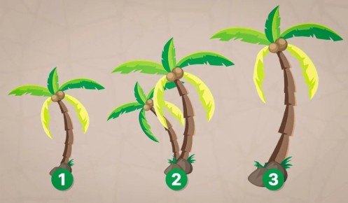     ?    