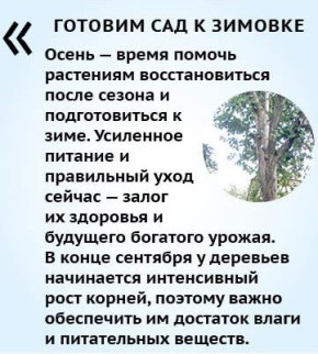         ,       ,       - 