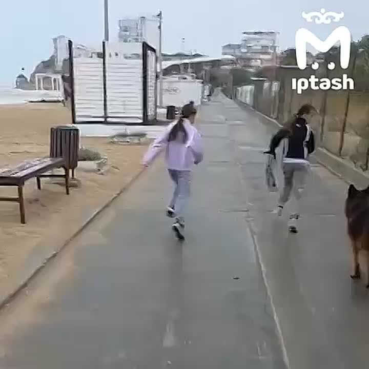 ,    ,  