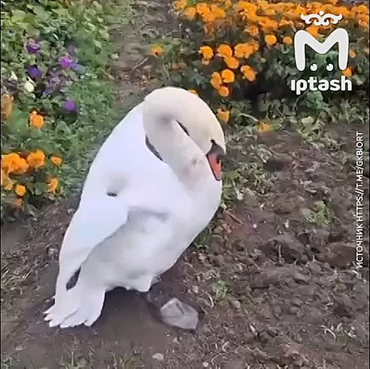  - -    