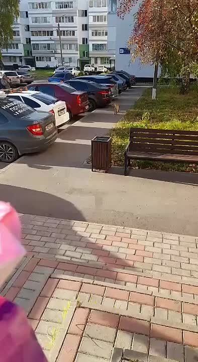 Природа настолько очистилась