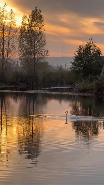 Красота вокруг нас!. Мария Зиновьева