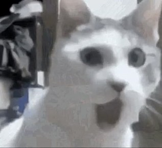 , ,         