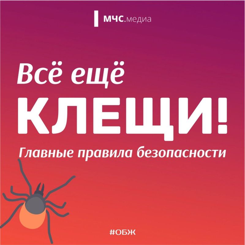 Клещи. Главные правила безопасности