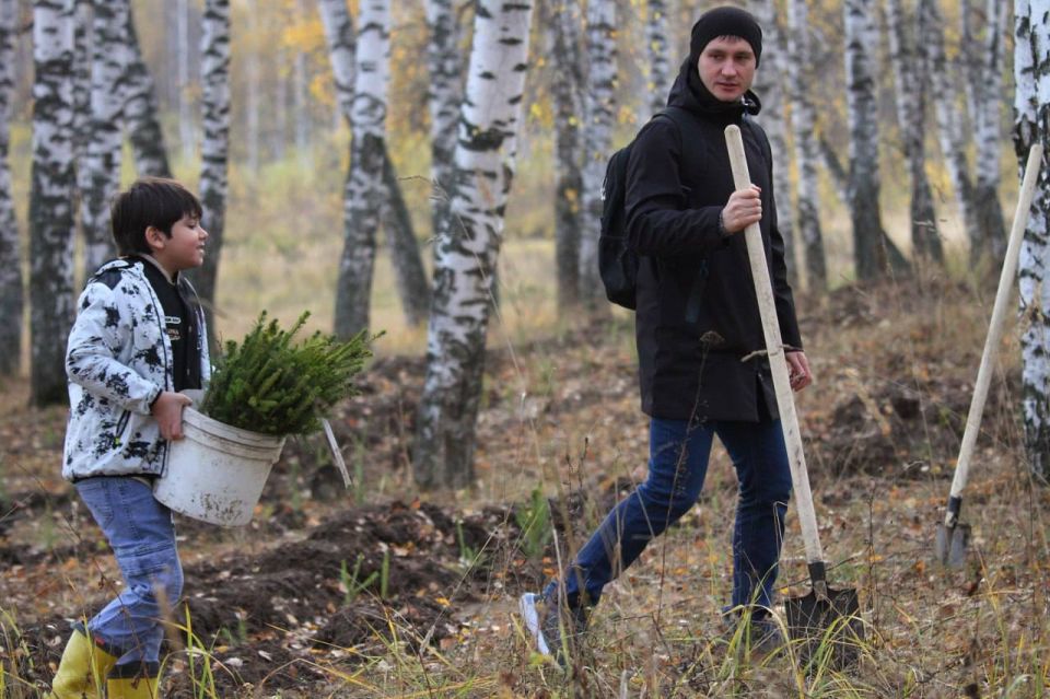 Присоединяйтесь к акции «Сохраним лес»!