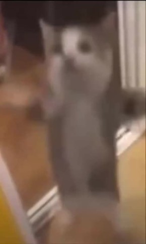 , ,  13      