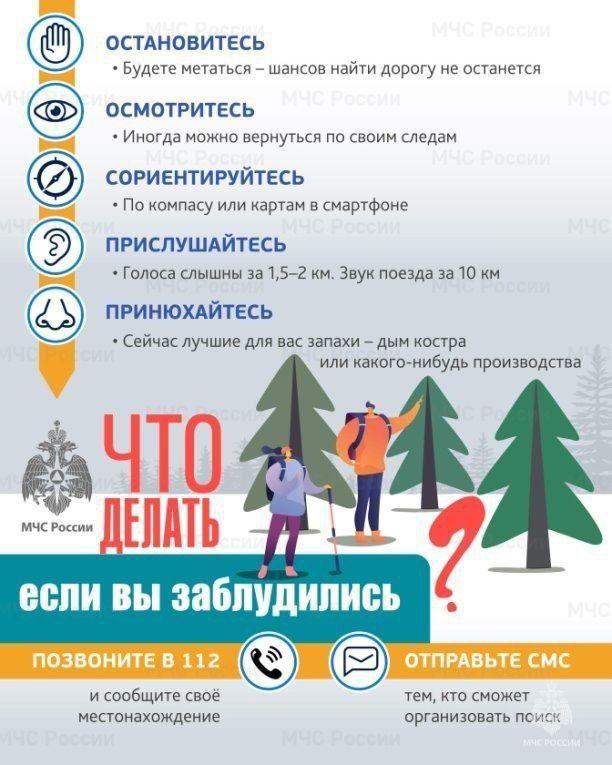 Правила безопасности для грибников в лесу