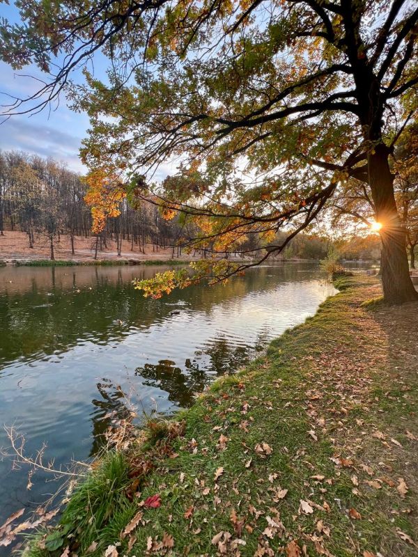 Добрый вечер, Татарстан! Херле кич, Татарстан!