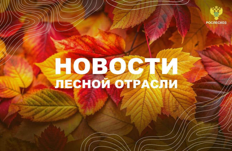 ТАСС: Расходы бюджета России на нацпроекты на 1 октября составили 4,25 трлн рублей