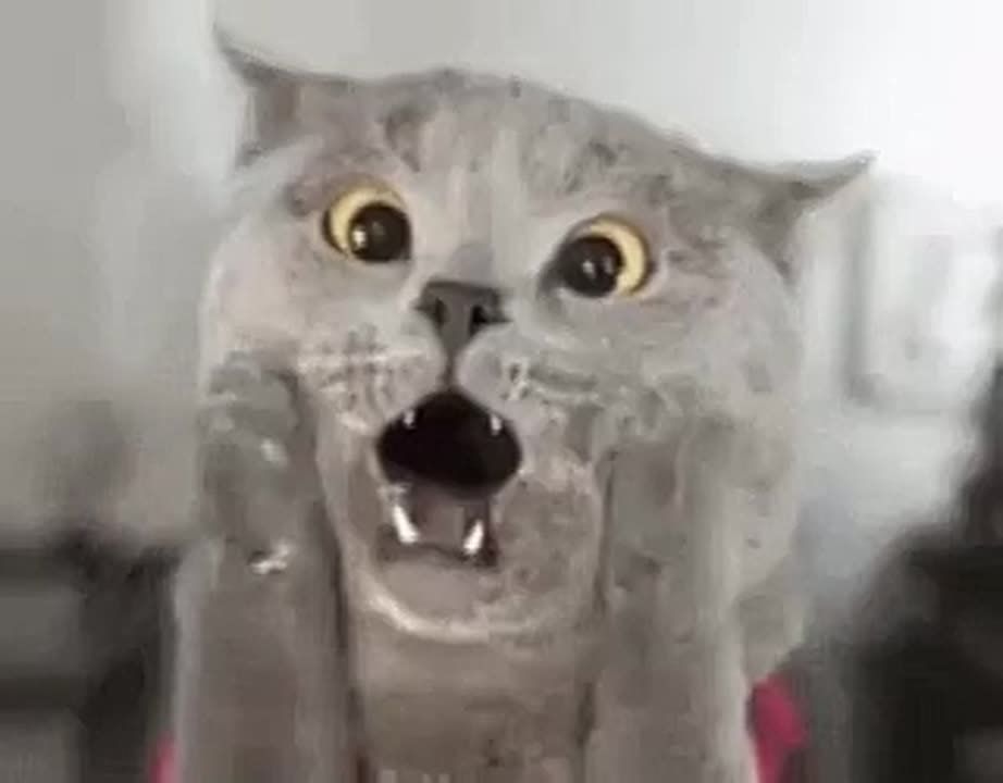 Друзья, напоминаем, что 13 октября мы узнаем победителя нашего конкурса