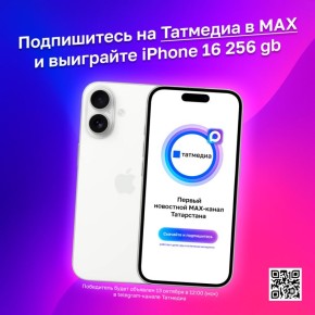 , ,      iPhone 16  256 gb