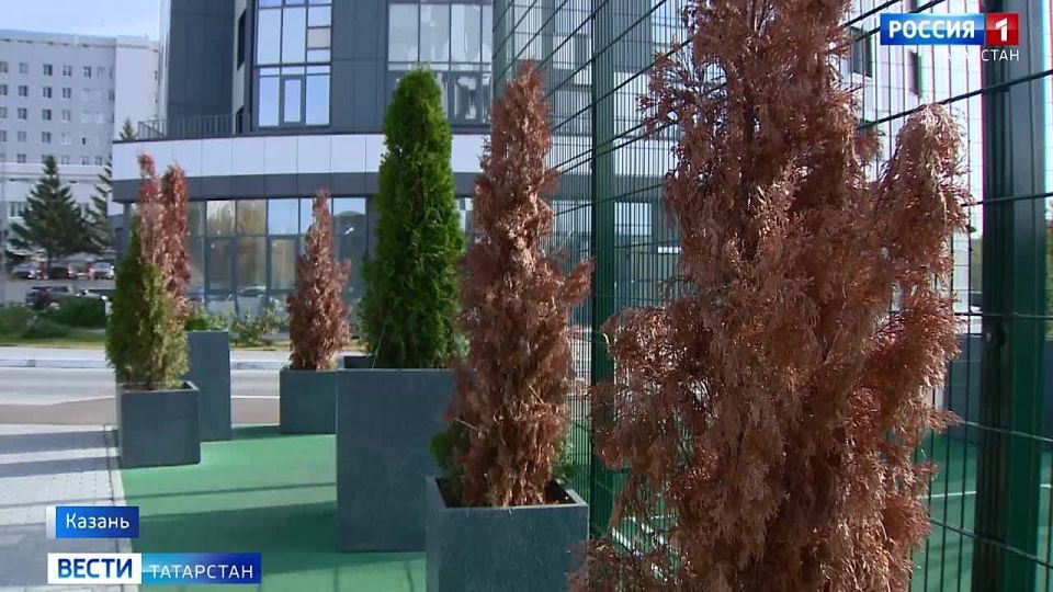 Жильцы одного из ЖК в Казани жалуются на состояние новых домов