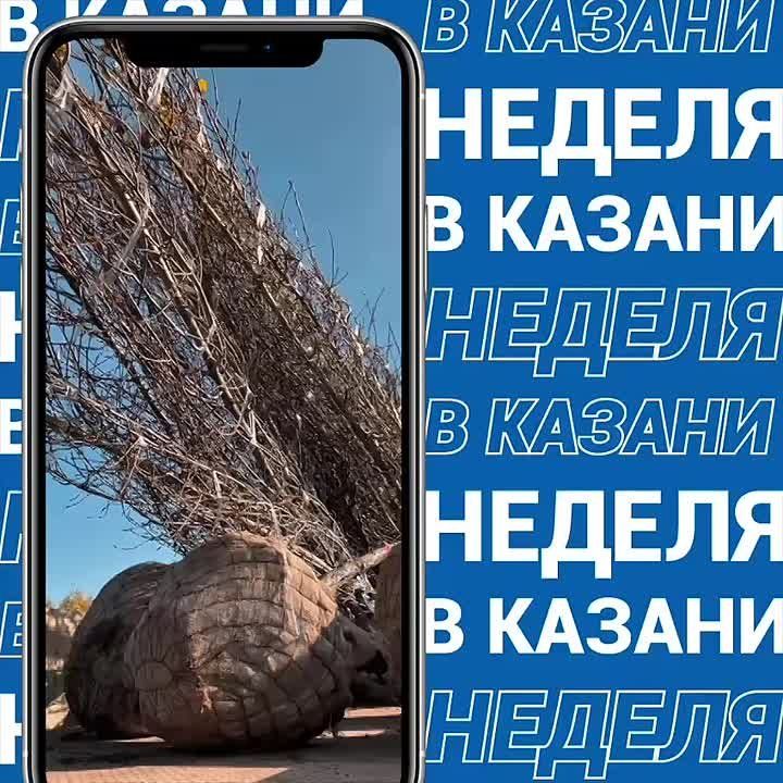 Сегодня мы отмечаем Международный день девочек и, конечно, выход рубрики #неделявказани