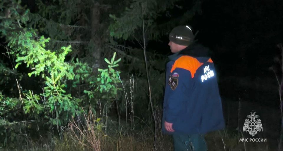 Вечером пятницы 18-летний парень и 16-летняя девушка заблудились в лесном массиве парка "Прибрежный" у ипподрома в Набережных Челнах