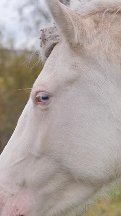 Кризис-менеджер Булат Газизов, вернувшись из Москвы в родное село Верхний Берсут Мамадышского района, обнаружил его уже другим: жители разъехались, работы нет, школа закрыта