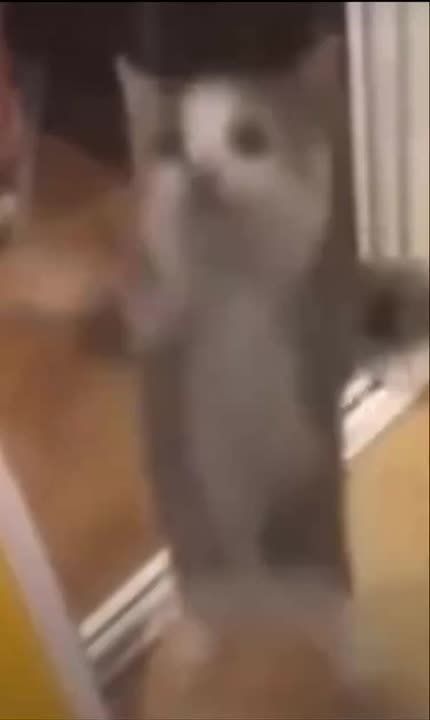 Друзья, напоминаем, что завтра мы узнаем победителя нашего конкурса