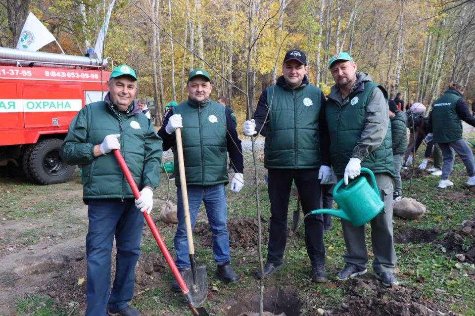 Миллионы саженцев и тысячи добрых сердец