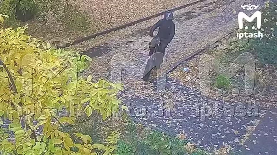 Девушка, на которую напали у 94-й гимназии, — жена бизнесмена Ивана Шевырёва