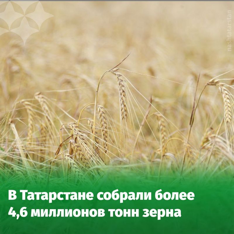 В Татарстане подвели итоги уборочной кампании за 2025 год