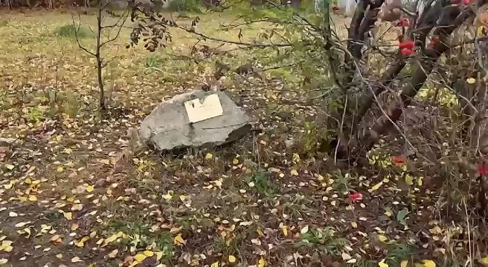 Самарский губернатор матом отправил в отставку главу района