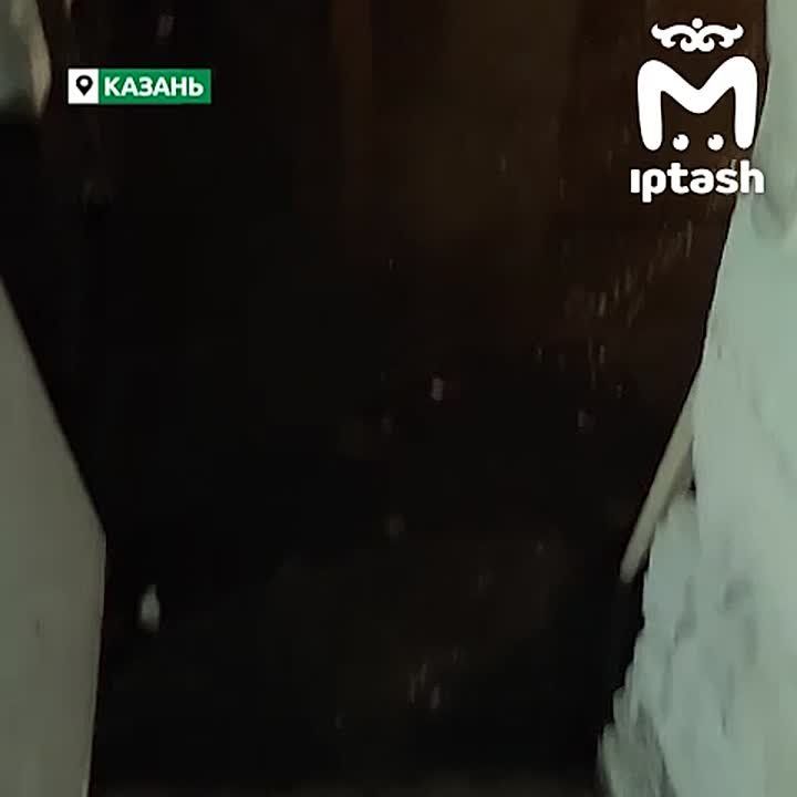 Подвал дома на Дальней два месяца топит фекалиями из-за стройки ЖК бизнес-класса