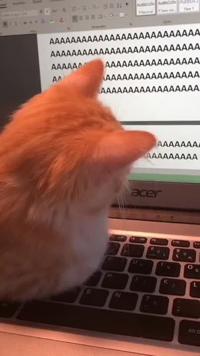 Татарстан получит 257 млн рублей на поддержку рабочих