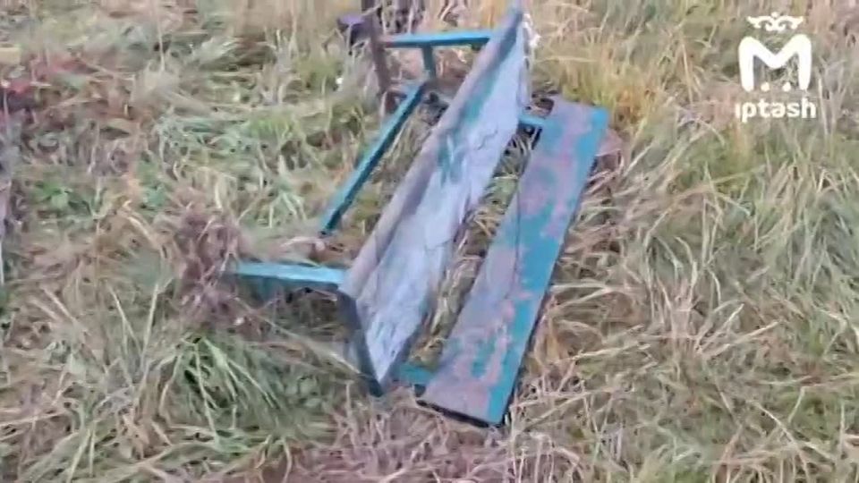 Мусульманское кладбище разгромили лоси-вандалы на Мамадышском тракте