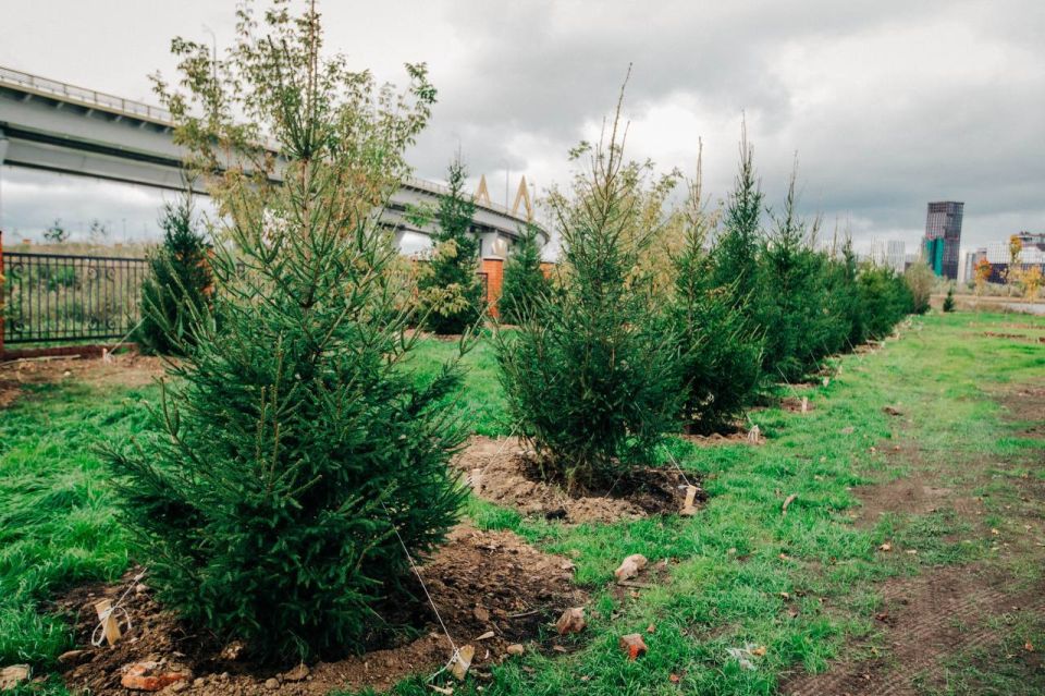 Казань хорошеет на глазах!