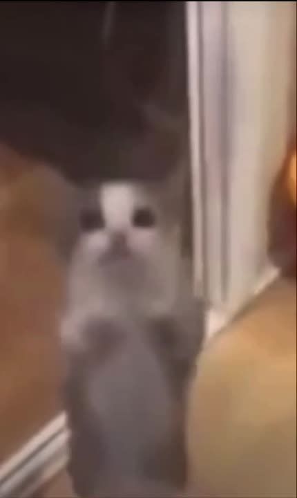 Друзья, напоминаем, что уже 3 ноября мы узнаем победителя нашего конкурса