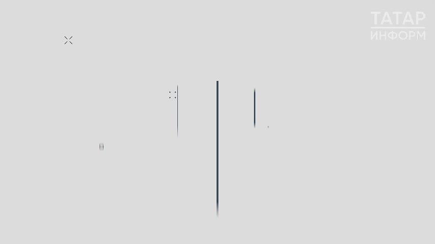 Отец миллиардера Илона Маска – Эррол Маск – прибыл сегодня в Татарстан