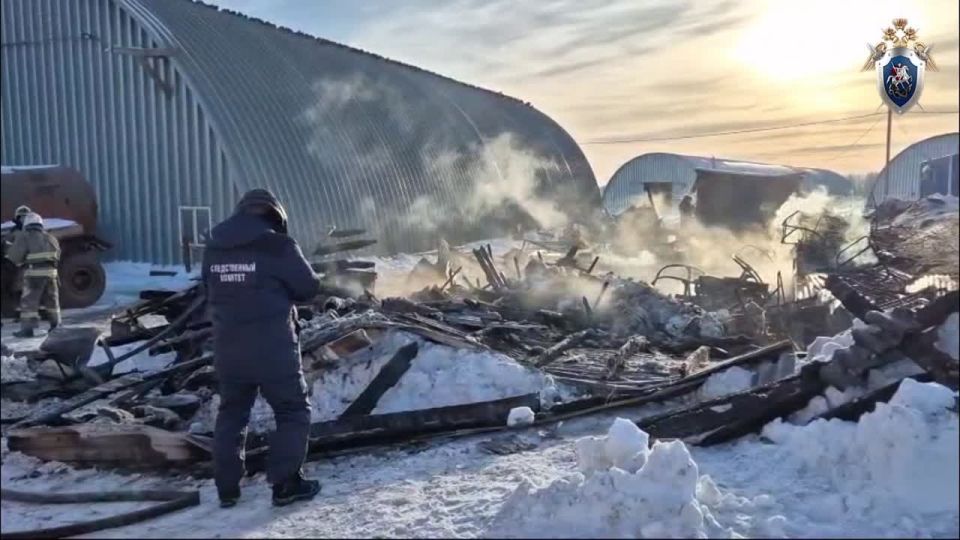 Двое руководителей сельхозпредприятия обвиняются нарушении требований безопасности, повлекшем гибель шести человек