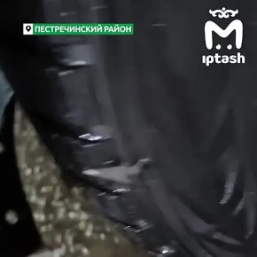            -   